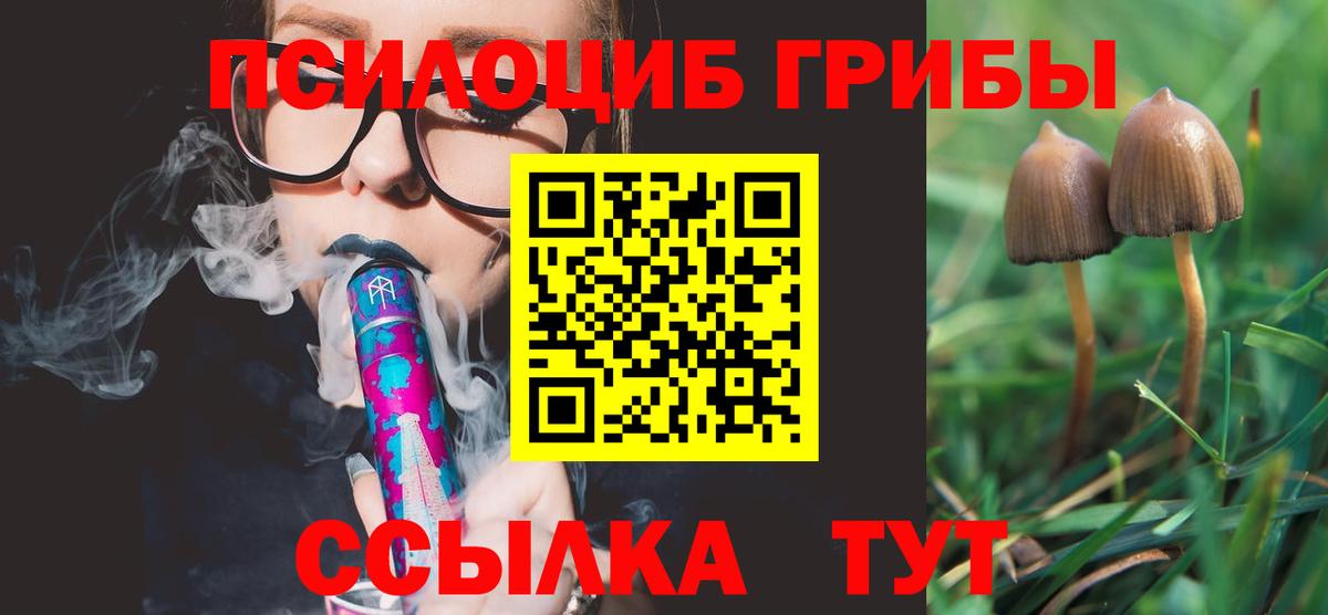 Псилоцибиновые грибы GOLDEN TEACHER  Вход с VPN  Азнакаево 