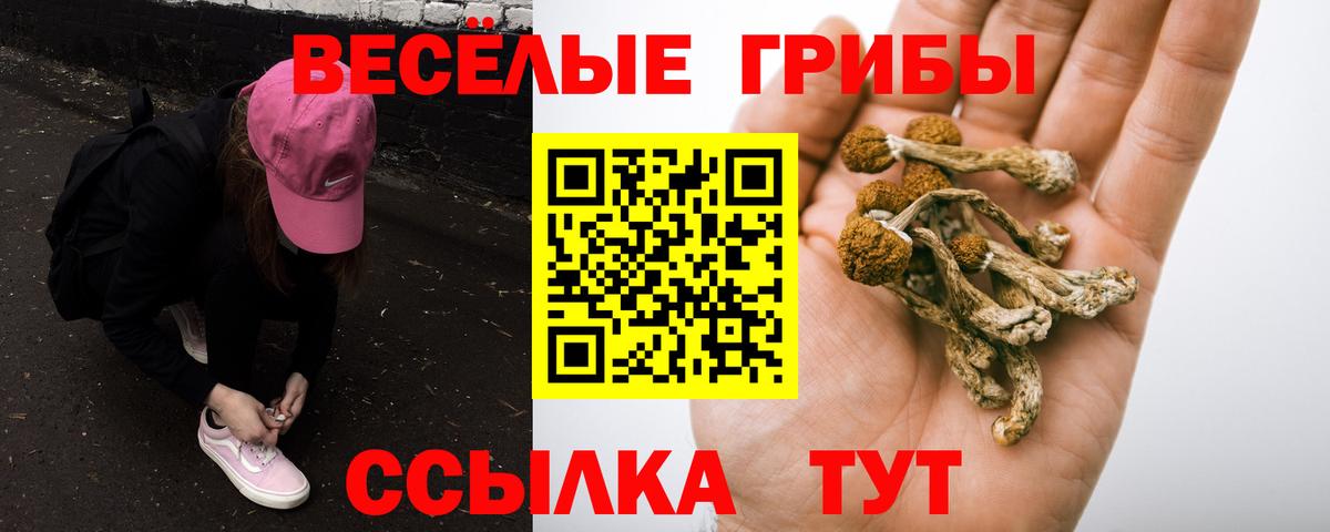 Псилоцибиновые грибы мухоморы Азнакаево